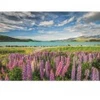 Image de Clementoni Lupin Au Lac Tekapo 31731
