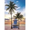 Image de Clementoni Floride, Miami Beach 35574