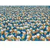 Image de Clementoni Impossible Donald 39799