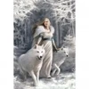 Image de Clementoni Anne Stokes - Gardiens De L'Hiver 39957