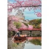 Image de Clementoni Château De Himeji 39982
