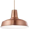 Image de Evergreen Lights Suspension