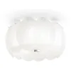 Image de Evergreen Lights Lampe de Plafond