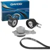 Image de Dayco KTBWP8570 Distribution Kit avec Pompe à Eau