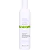 Image de Milk Shake No Frizz Allowed Perfecting Conditioner 300 ml
