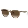 Image de Ray-Ban Montures Homme, Marron (Brown), 48