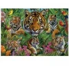 Image de Educa Jungle Des Tigres 19902