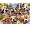 Image de Educa Chiots Selfie. Howard Robinson 19931