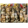 Image de Educa Chatons et Oiseaux 20241
