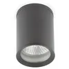 Image de TASA PLAFON GRIS OSCURO PAR30 75 W