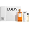 Image de Parfum de la marque Loewe, mâle, Solo eau toilette 100 millilitres, baume après rasage 75 millilitres, Spray 10 millilitres
