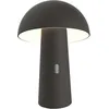 Image de Lampe de Jardin sur Batterie Shitake