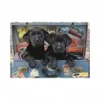 Image de Dino Chiots dans un Coffre 50258