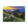 Image de Dino Mala Fatra 50270