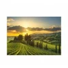 Image de Dino Puzzle XL - Vignoble Maremma 51414