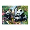 Image de Dino Secret Puzzle - Pandas 53263