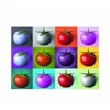 Image de Dino Pop Art - Tomates 53296
