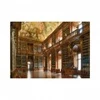 Image de Dino Hall Philosophique Stahov 53303