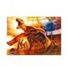 Image de Dino Jurassic Park 53318