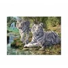 Image de Dino Tigres Blancs 53326