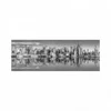 Image de Dino Lower Manhattan 56517