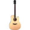 Image de Furch Green Dc-TR a Dreadnought elektrisch-akoestische westerngitaar met gigbag