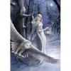Image de Art Puzzle Anne Stokes - Midnight Messenger Puzzle-5229