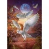 Image de Art Puzzle Hiboux au Clair de Lune Puzzle-5273