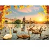 Image de Magnolia Swans near Charles Bridge 3504