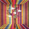 Image de Magnolia Imprisoned Nature 3012