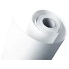 Image de Epson C13S045007 Papier Proofing Fogra (205) 17 X 50M