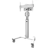 Image de NEOMOUNTS FL50S-825WH1 Floor Stand White