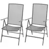 Image de vidaXL Chaises empilables de jardin lot de 2 Acier Gris