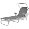 Image de vidaXL Chaise longue avec auvent Acier Gris