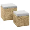 Image de vidaXL Repose-pied lot de 2 Jacinthe d'eau Gris