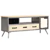 Image de vidaXL Meuble TV Bois de manguier massif et acier 120x30x45 cm