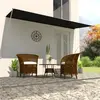 Image de vidaXL Auvent rétractable 400x150 cm Anthracite