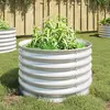 Image de vidaXL Lit surélevé de jardin 80x80x44 cm Acier galvanisé Argenté