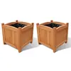 Image de vidaXL Ensemble de 2 lits surélevés Bois 30x30x30 cm