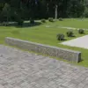 Image de vidaXL Mur à gabion avec couvercles Acier galvanisé 600x30x50 cm