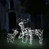 Image de vidaXL Cordon lumineux de Noël 3 pcs Rennes 229 LED