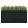 Image de vidaXL Jardinière surélevée Anthracite 160x80x77 cm Acier galvanisé