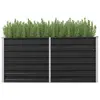 Image de vidaXL Lit surélevé de jardin Anthracite 160x40x77 cm Acier galvanisé