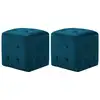 Image de vidaXL 2 pcs Poufs Bleu 30 x 30 x 30 cm Tissu velours