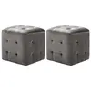Image de vidaXL 2 pcs Poufs Gris 30 x 30 x 30 cm Tissu velours