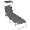 Image de vidaXL Chaise longue pliable avec auvent Gris Aluminium