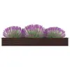 Image de vidaXL Lit surélevé de jardin Acier galvanisé 320x40x45 cm Marron