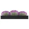 Image de vidaXL Lit surélevé de jardin Acier galvanisé 320x40x45 cm Anthracite