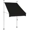 Image de vidaXL Auvent manuel rétractable 100 cm anthracite