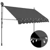 Image de vidaXL Auvent manuel rétractable avec LED 300 cm Anthracite